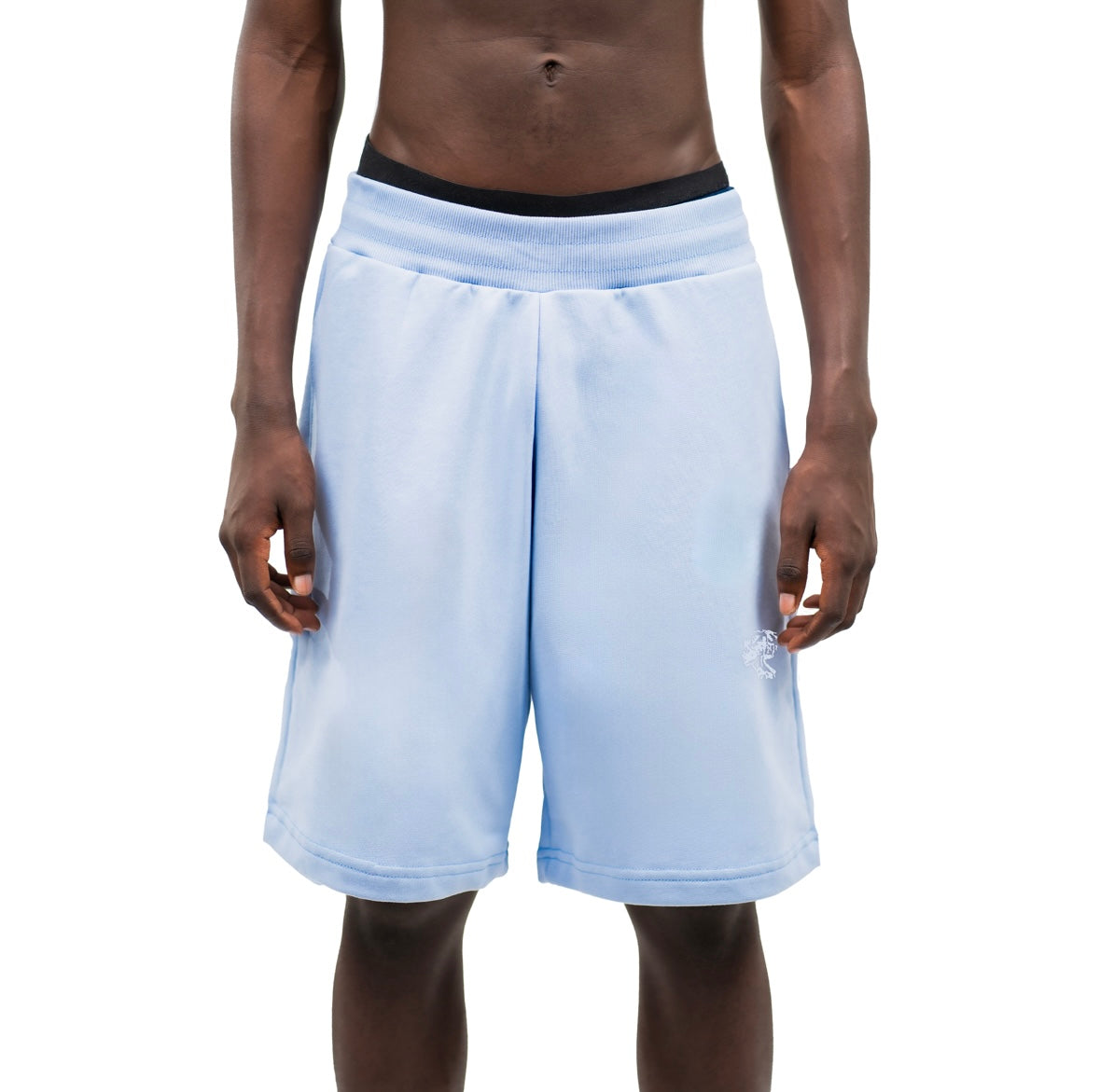 Tone in tone babyblue shorts