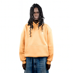 Hoodie Logo ALBICOCCA